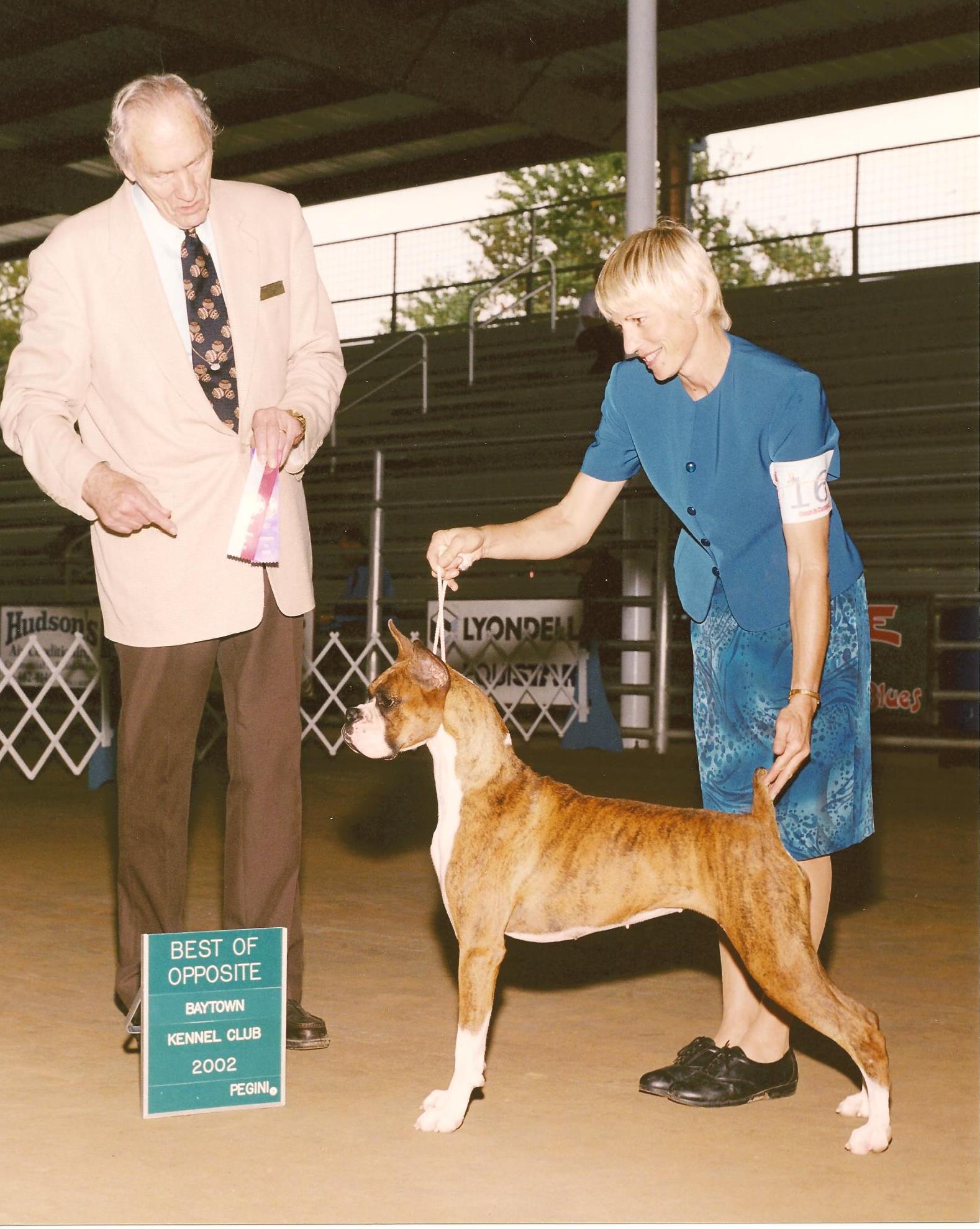 Pic 8